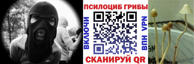 наркота  Тетюши  mega как войти  Галлюциногенные грибы ЛСД 